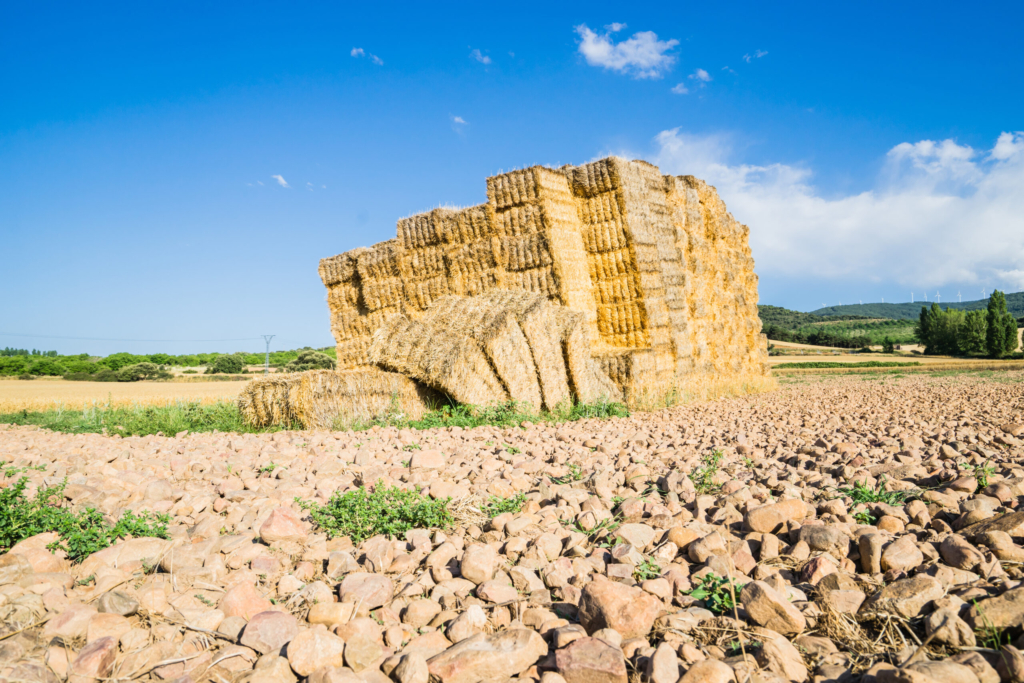 Sustainable Erosion Management: Balancing Natural Fibers and Structural Armoring
