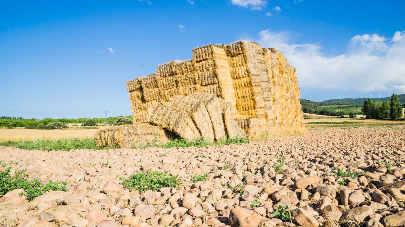 Sustainable Erosion Management: Balancing Natural Fibers and Structural Armoring