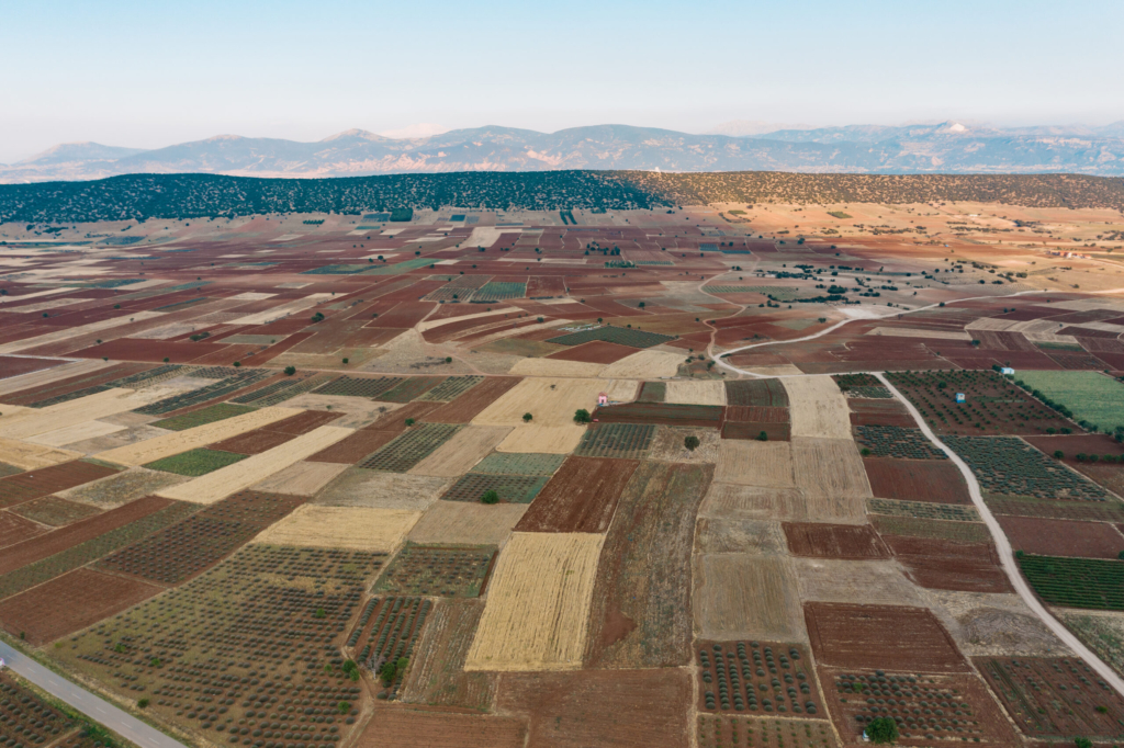 Strengthening Infrastructure: Sourcing Premium Soil Reinforcement Materials in South Asia