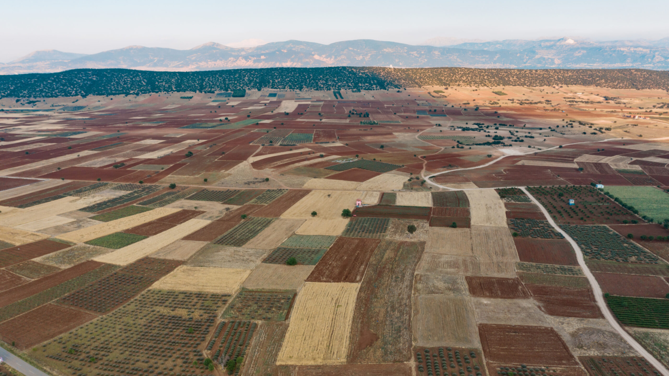 Strengthening Infrastructure: Sourcing Premium Soil Reinforcement Materials in South Asia